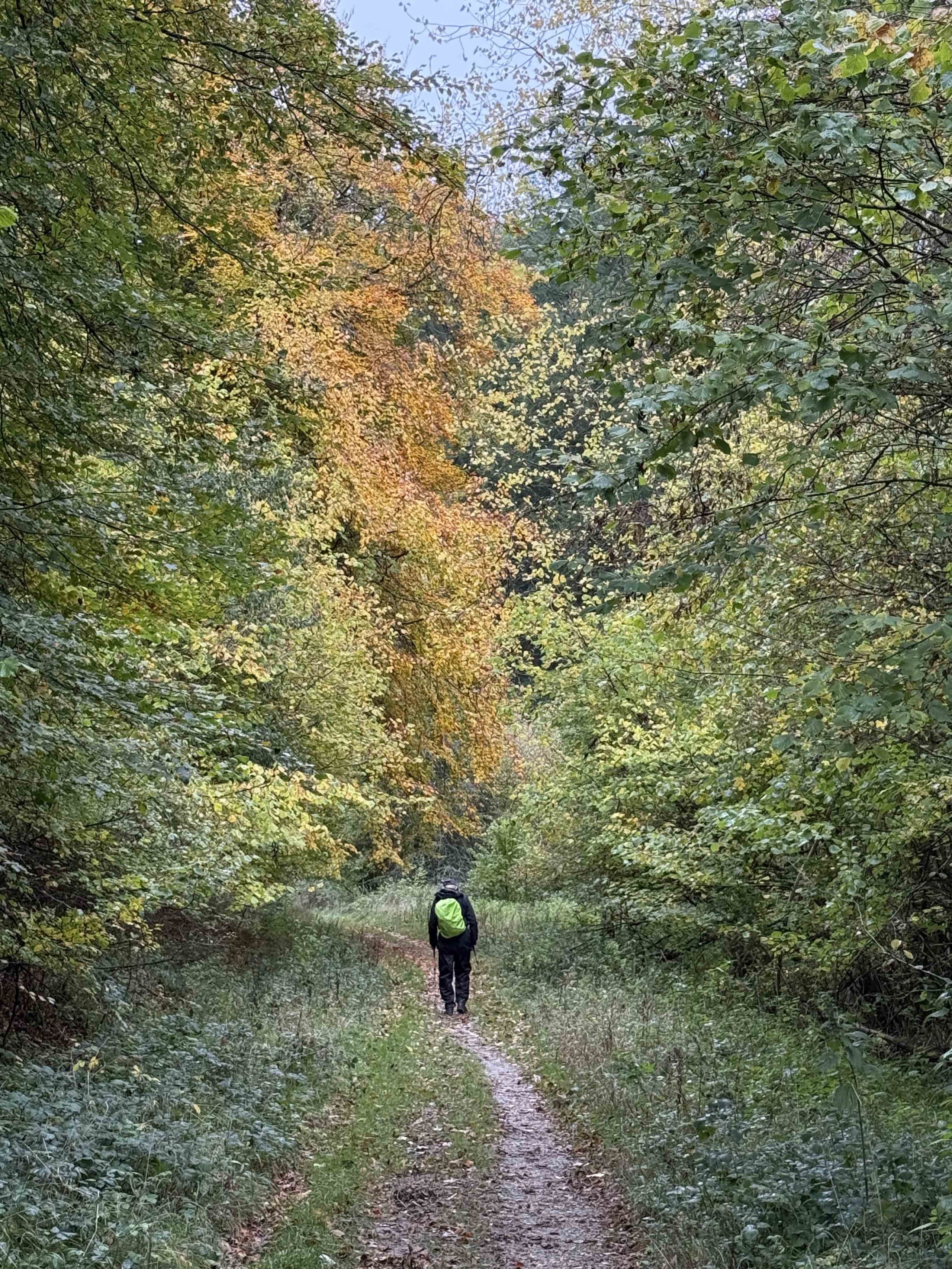 Autumn in North Dorset